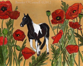 Pinto Pony with Crimson Poppy Flowers
