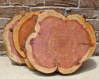 Large Wood Slices, sizes 12" to 19" x 2" Large Cedar Wood Piece, wood rounds, rustic wedding decor, woodworking, DIY home decor, cake base