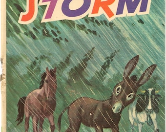 The Storm + 1973 + Vintage Kids Book