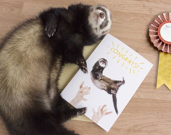 HILARIOUS FERRET CONGRATULATIONS card, funny weasel card, animal card, greeting, confetti, celebration, pole cat, fert