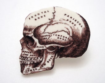Human Skull Craniometry Brooch - Black and White HUMORALess Skull Illustration Pin