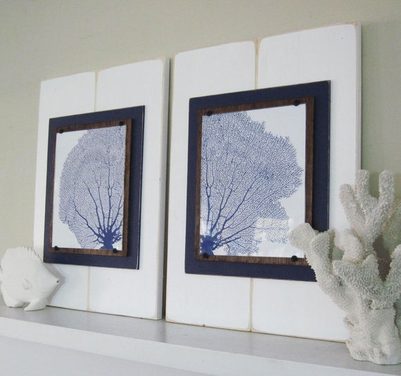 Set of Large Framed Sea Fan Prints 14x21 White and Navy