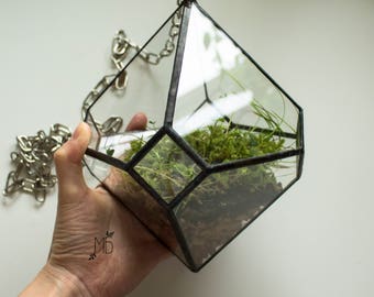 The overhead terrarium/ glass terrarium / terrarium / geometric terrarium