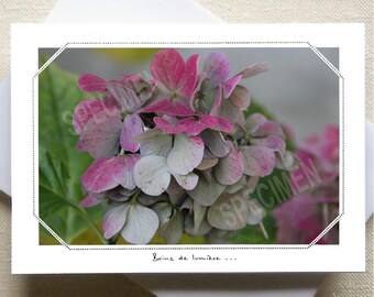 458.  The end of season...