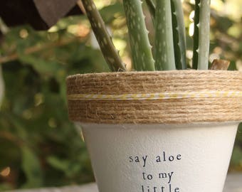 4" Say Aloe to my Little Friend » Aloe Vera Cute Succulent Planter Plant Pot Cute Succulent Aloe Succulent Plant Gift Set Plant Puns