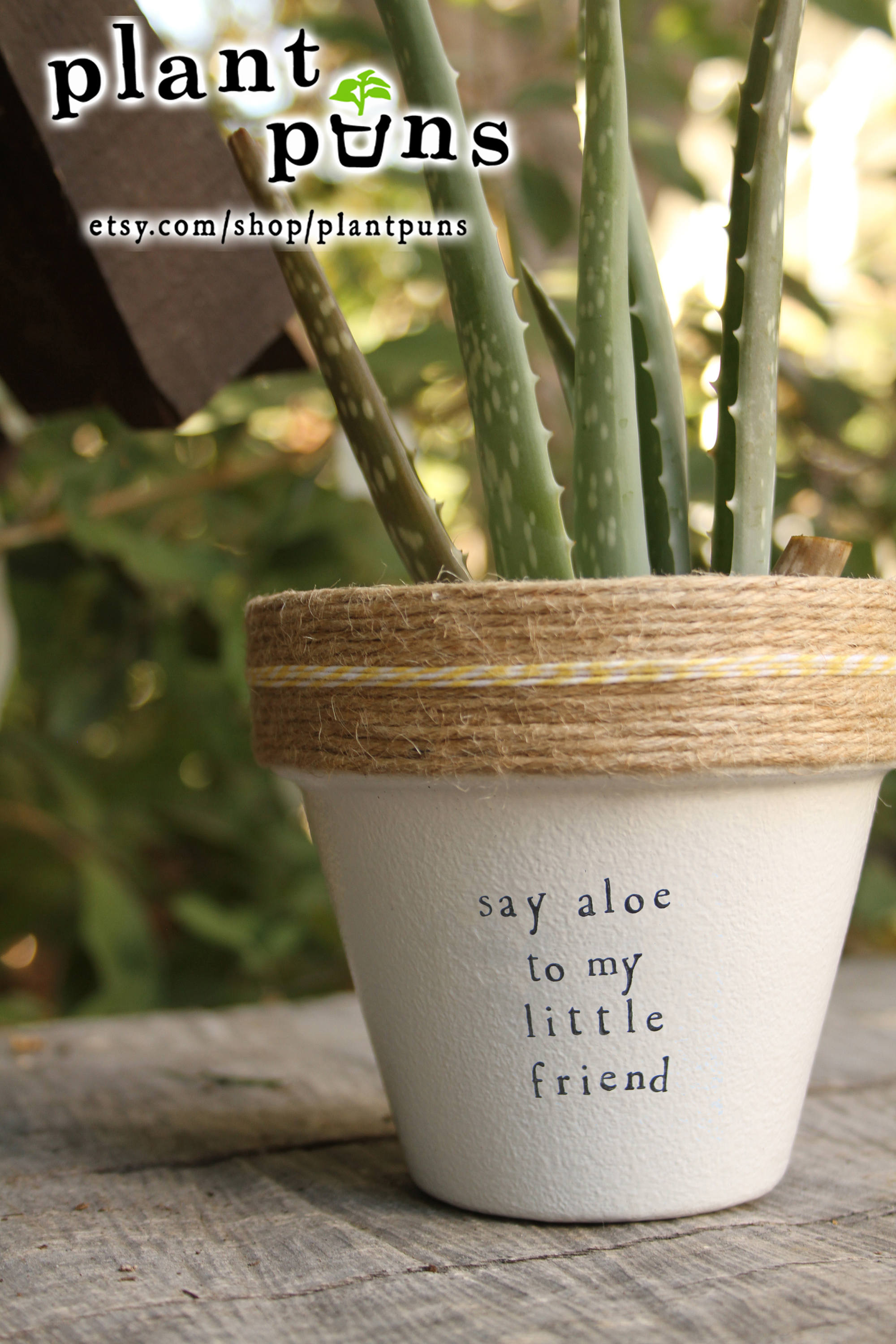 4 Say Aloe to my Little Friend Aloe Vera Cute