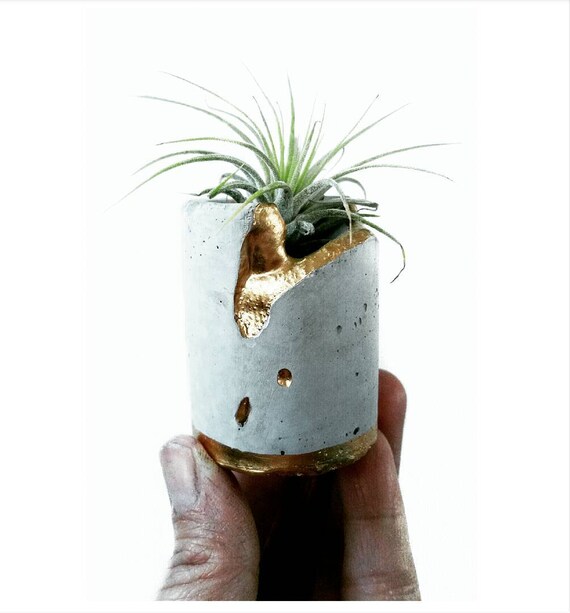 Concrete Gold Leafing Air Planter,Modern Metallic planter,Cactus Planter,Cactus Decor, Succulent Planter, Indoor Planter,Concrete Home Decor
