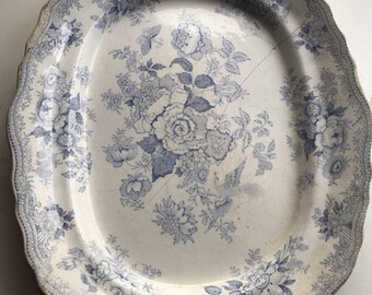 Antique Asiatic Pheasants Meat Platter