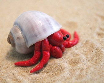Polymer Clay Hermit Crab