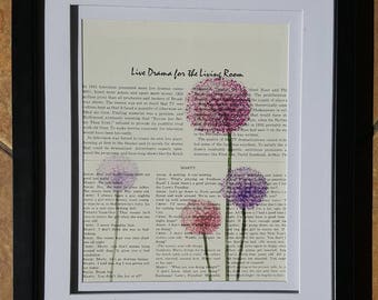 4 purple Dandelions