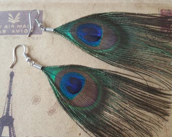 Peacock feather earrings ~ silver ~