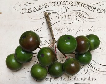 Vintage crab apple spray