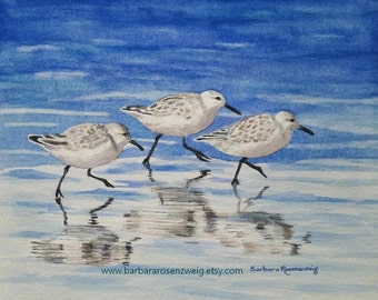Beach Print, Beach Art, Nautical Decor, Coastal Decor, Coastal Art, Sandpiper Print, Sandpiper Bird, Sandpiper Wall Art, Beach Wall Art