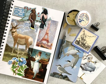 50pc Ephemera Junk Journal Vintage Ephemera Pack TN Embellishment Scrapbook Kit Journal Kit