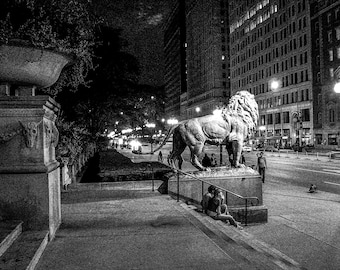 Chicago Art Institute Lion at Night