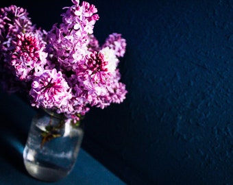 Purple Lilacs on a Blue background
