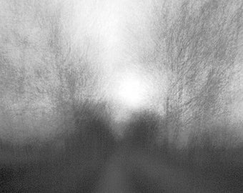 Winter : 76 x 43 cm / 30 x 17 inch Digital C Print