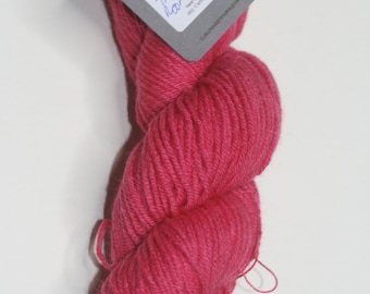 hand dyed worsted weight yarn 100% merino - There was Room for Jack