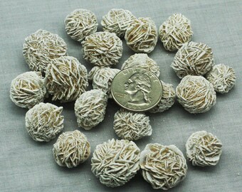 ONE Gypsum 'Desert Rose' from Mexico, Mineral Specimen for Sale