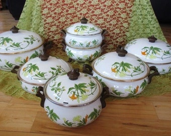 Vintage Fissler Asta Geranium Enamelware Cookware Set of 13 pieces Very good China Galore no damage