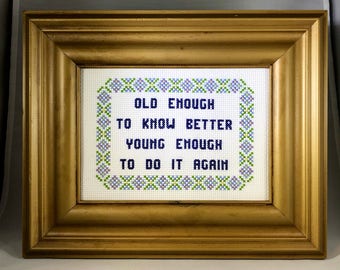 Old Enough to Know Better Funny Cross Stitch
