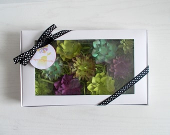 Gardening Gift Set - Plantable Seed Paper Succulents - Eco Friendly Hand Inked Seeded Paper Embedded With Flower Seeds - Unique Garden Set