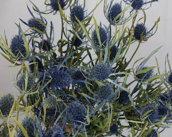 Dried Blue Thistle, Blue Thistle, Dried flowers, Dried flower bunches, Blue flowers, Thistle, Eryngium, Blue wedding, DIY Floral, crafts