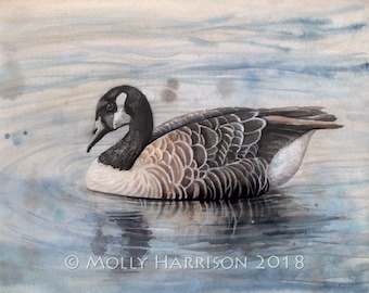 Canada Goose - Canadian Geese Wildlife Watercolor Fine Art Print by Molly Harrison 12 x 16