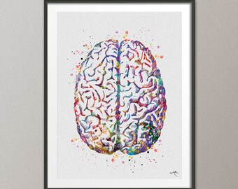 Brain Anatomy Watercolor Print Medical Art Science Art Anatomy Art Neurology Human Brain Doctor Gift Nurse Science Poster Psychological -971