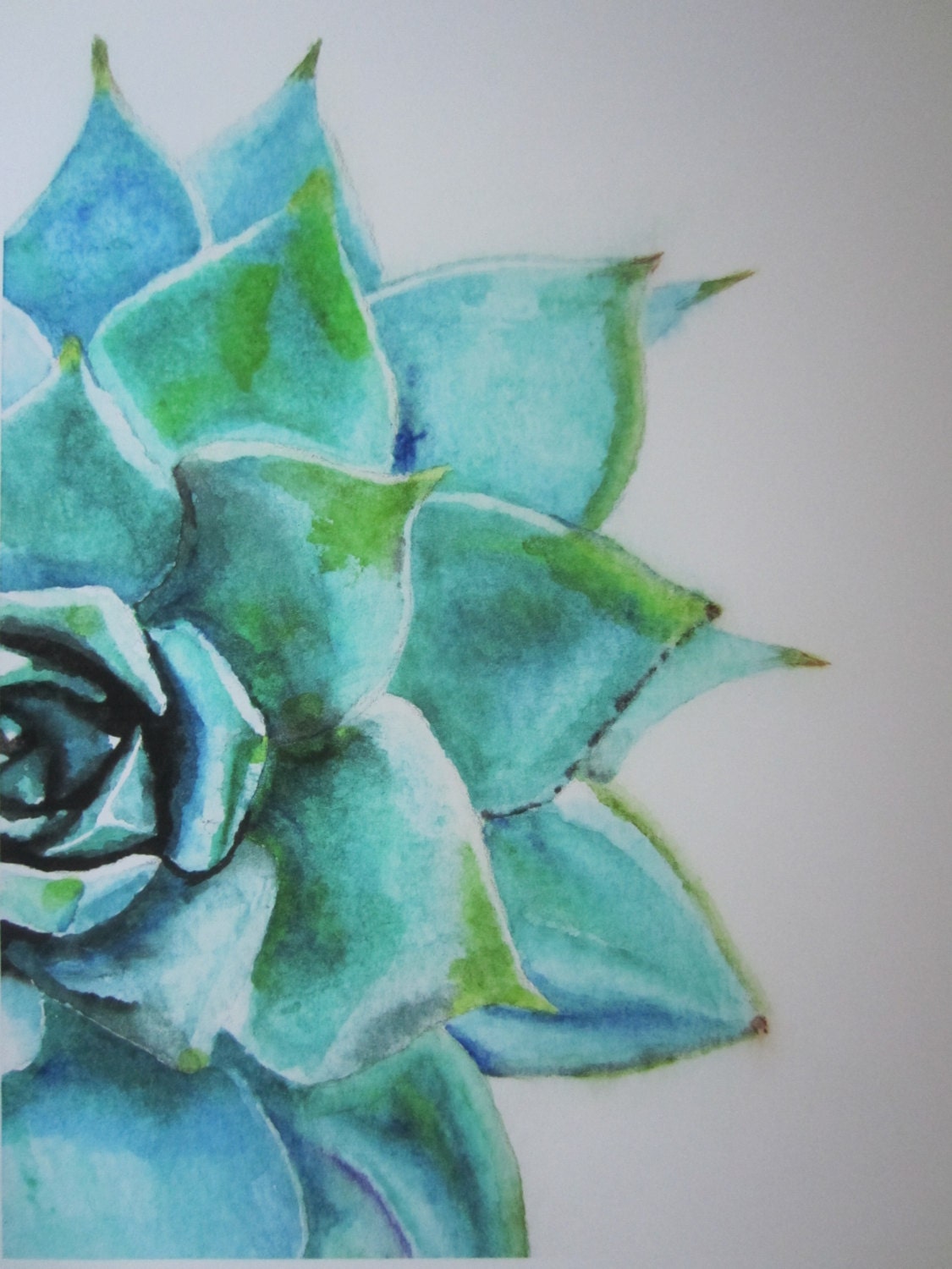 Blue Green Succulent  Watercolor  Print