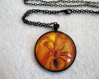 Large Spider in AMBER Print Cabochon PENDANT Necklace