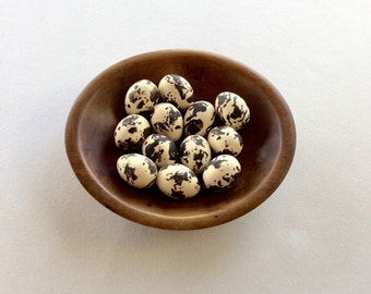 Set of 12 Brown and Cream Speckeled Bird Eggs