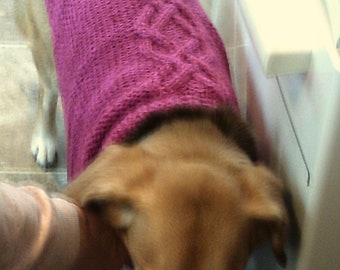 Celtic Dog Sweater Coat, hand knit, with Aran cables.