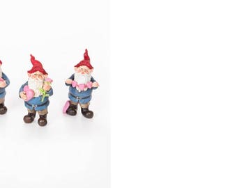 Miniature Garden Gnome for Fairy Garden,Miniature Garden, Train scene , dior etc.