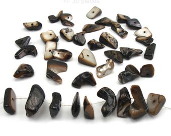 30 Brown mother of Pearl natural shell beads