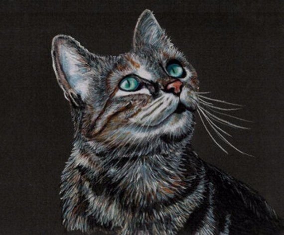 Colored Pencil Sunlit Tabby Cat Drawing