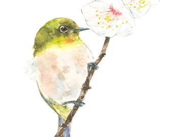 Japanese White-eye watercolor painting - bird watercolor painting - 5x7 inch print - 0059