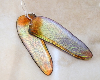 Wide Dragonfly Wing earrings