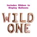 Wild One Birthday Balloons Banner - Rose Gold First Birthday Decorations - Girl | Boy 1st Birthday Party - Rose Gold Foil Letter Balloons