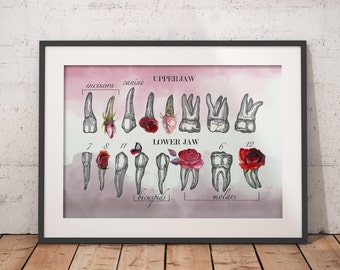 Dentist Gift Dental Hygiene Gifts Dental Gifts Dental Assistant Gifts Dental Student Gifts Dental Hygienist Gifts Dental Art Artwork Print