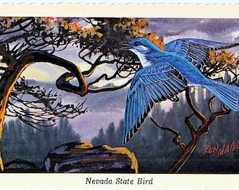 Vintage Nevada Postcard - Mountain Bluebird ... State Bird of Nevada -- Artist Signed, Ken Haag (Unused)