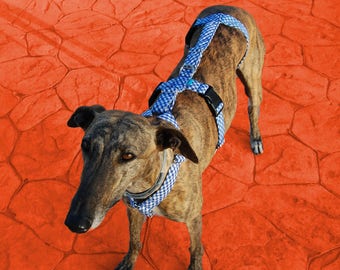 Greyhound harness/ dog harness/ galgos harnesses/ safety harness/ anti-escape system/ picnic style/ Vichy fabric/ design