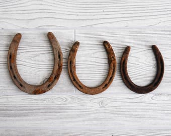 Pony Shoes, Horseshoes, Pony Party, Vintage Horse, Lucky Horseshoe, Horse Shoe Decor, Horse Shoe Art, Farmhouse Decor, Farmhouse Antiques.