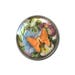 Orange Butterfly Floral Snap Charm Fits 18-20mm Ginger Snaps, Noosa, Magnolia & Vine, Others