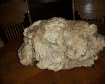 CLEARANCE---Raw Shetland Fleece: assorted colors available.