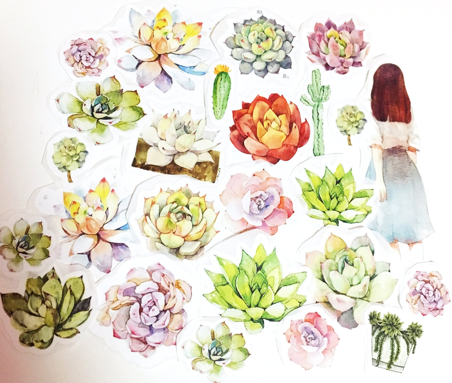23 pcs nature sticker cacti sticker flakes succulent bullet
