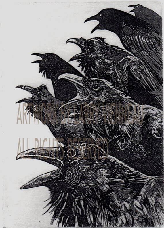 Raven artwork Raven crow Etching in assorted ink 5 x 7