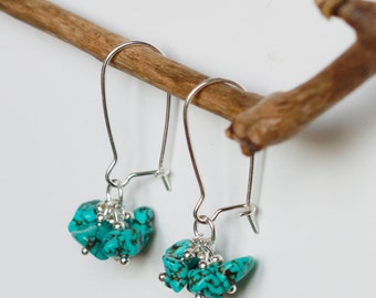 Silver 925 and turquoise cluster earrings