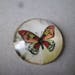 x 1 glass dome cameo/cabochon round 25 mm multicolor Butterfly pattern