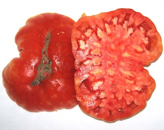 RW Cephei Heirloom Giant Tomato Seeds